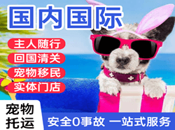 克拉玛依古海机场邮寄国际宠物托运 【国